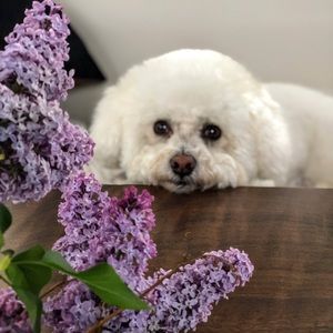 Meet your Posher, Traci